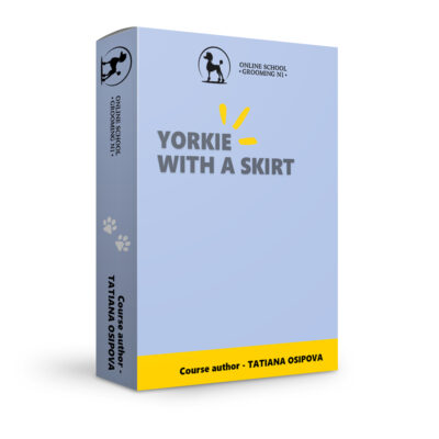 Yorkie with a skirt