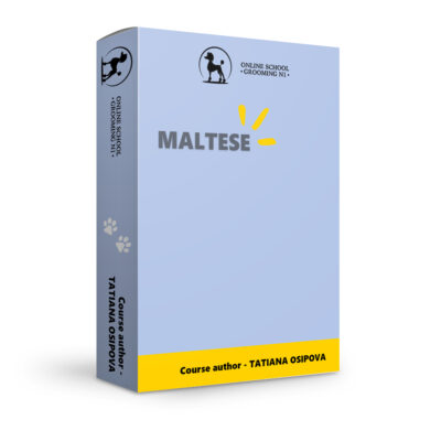 Maltese