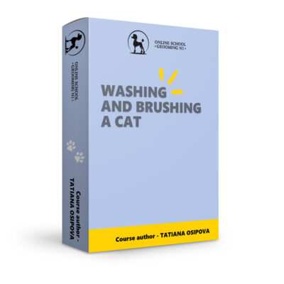 Washing and brushing a cat