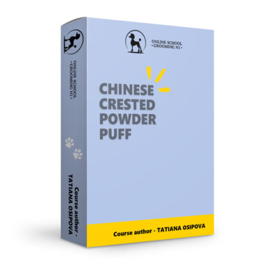 Chinese crested powder puff