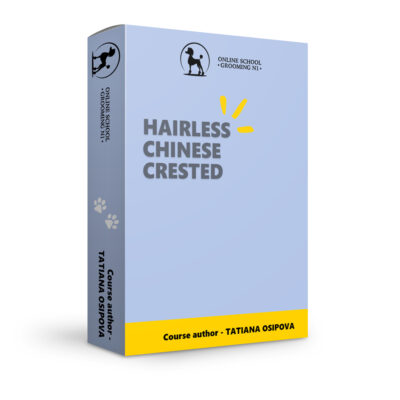 Hairless Chinese crested