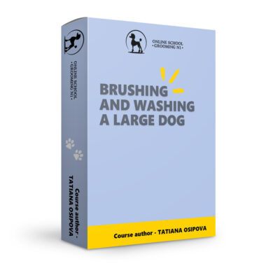Brushing and washing a large dog
