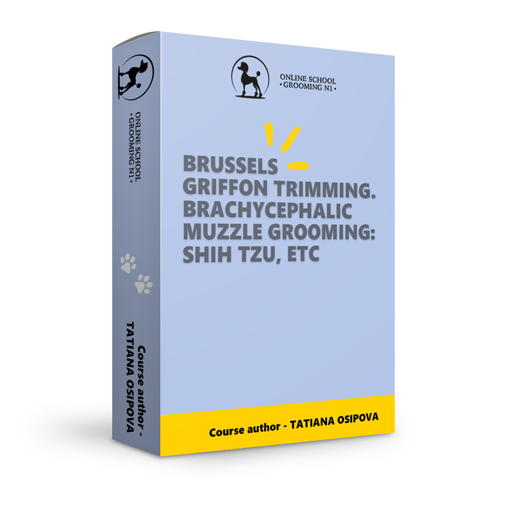 Brussels Griffon trimming. Brachycephalic muzzle grooming: Shih Tzu, etc