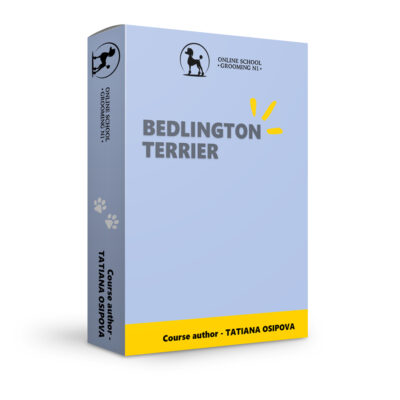 Bedlington terrier