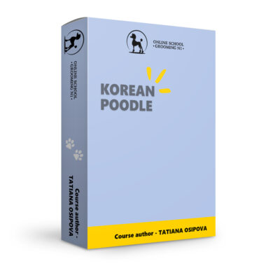 Korean poodle