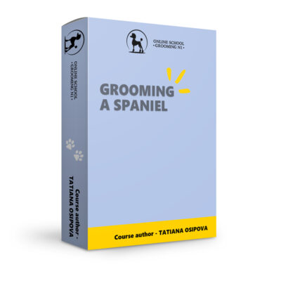 Grooming a spaniel