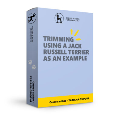 Trimming using a Jack Russell terrier as an example